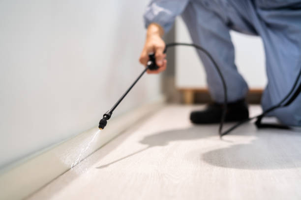 Licensed Bed Bug Control service in Manassas city County, VA - Nex Pest Control