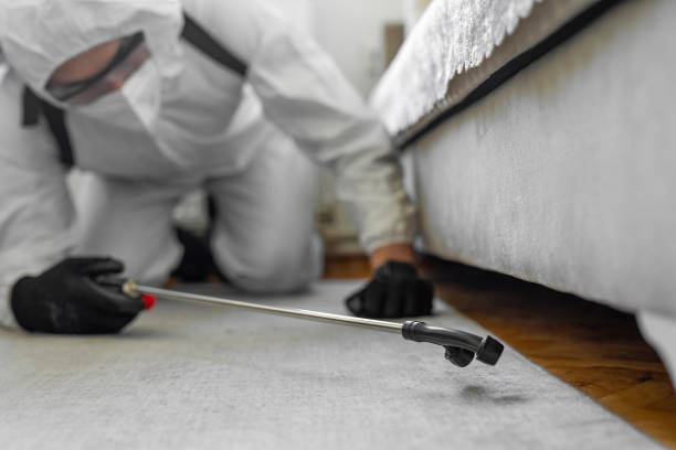 Professional Bed Bug Control technician working in Manassas city County, VA